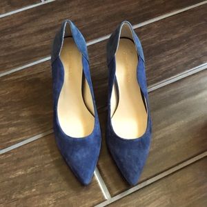 Enzo Angiolini Blue Pumps